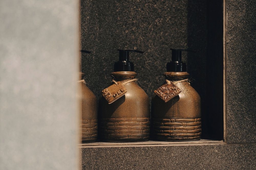 The Funny Lion - Puerto Princesa Deluxe Double Room 12