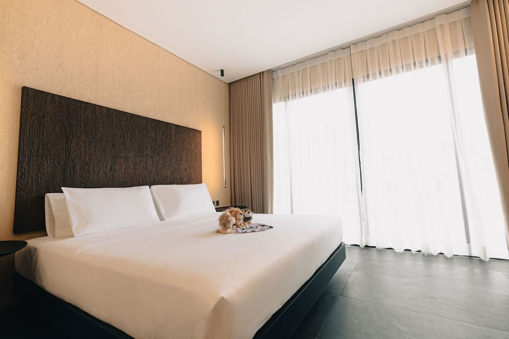 The Funny Lion - Puerto Princesa Deluxe Double Room 5