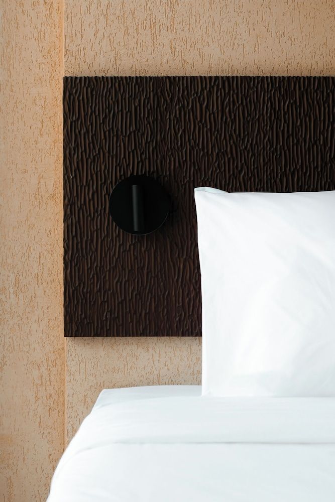 The Funny Lion - Puerto Princesa Deluxe Double or Twin Room 9