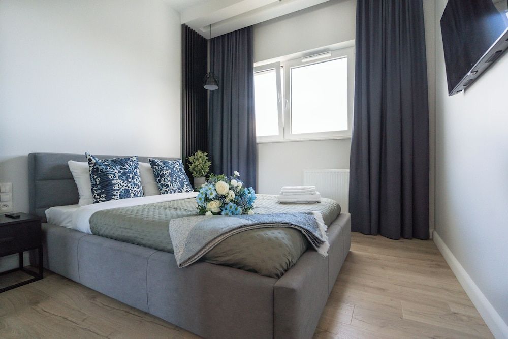 Deluxe Apartment, City View