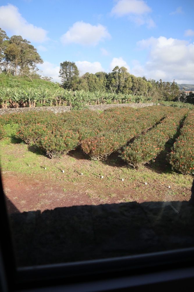 Banana Eco Camp Windmill 12