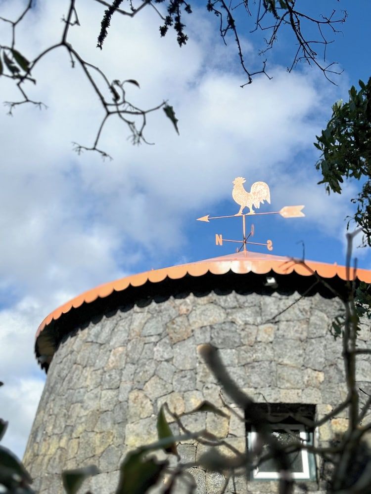 Banana Eco Camp Windmill 8