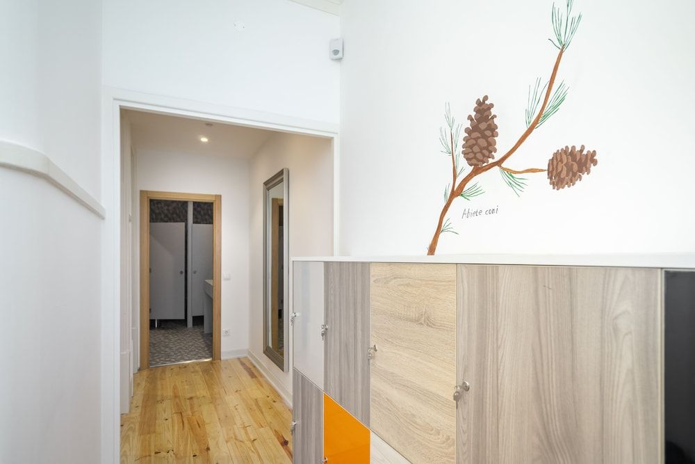 Shared Dormitory, Mixed Dorm, City View (1 Bed in 10-Bed Dorm)