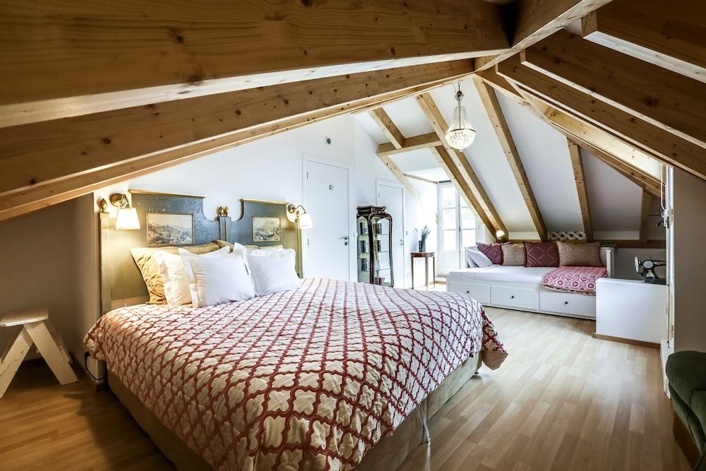 Basic Room, 1 King Bed with Sofa bed