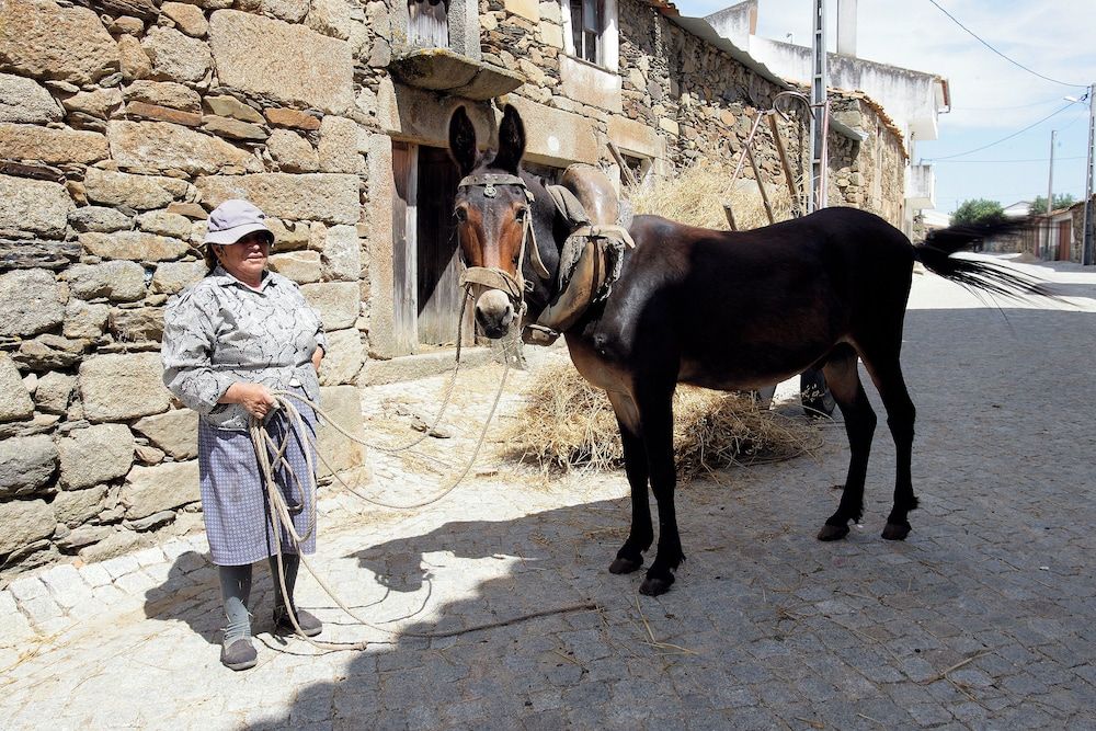 Children's Play Area