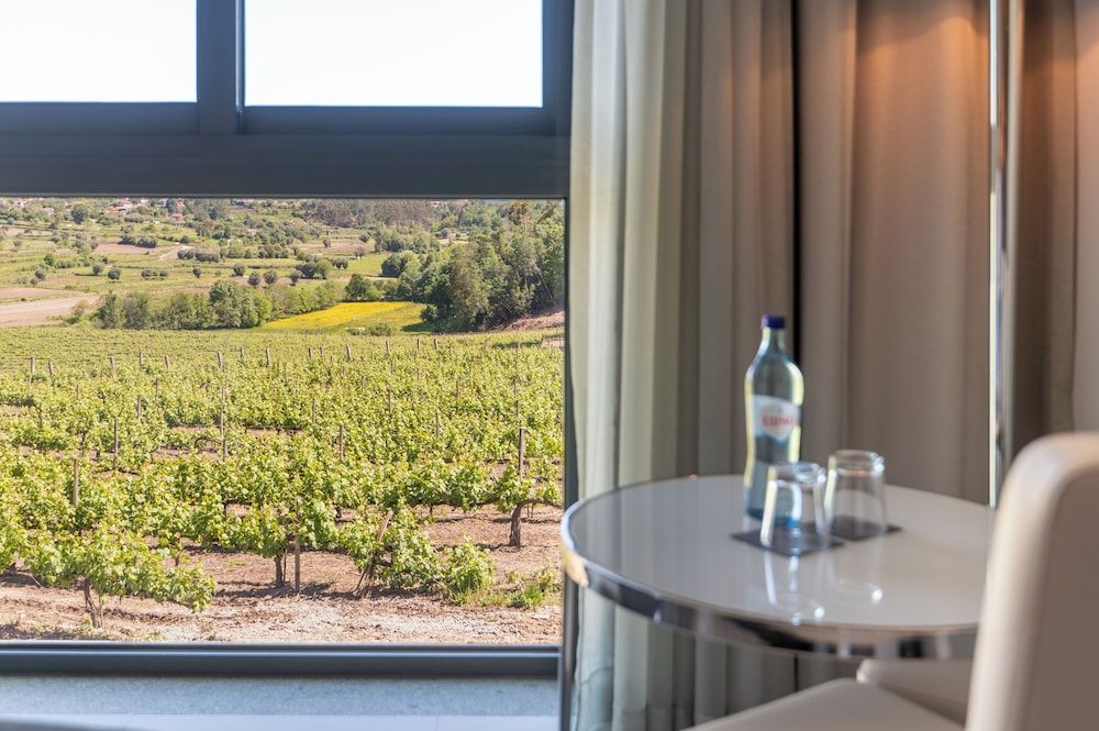 Vila Gale Collection Ponte de Lima Hotel Double Room, Vineyard View 4