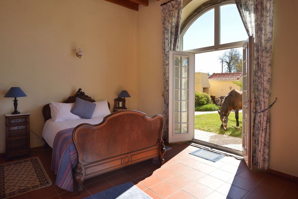 Quinta do Scoto Marquis do Pombal (Ground Floor, Max 6 Guests)