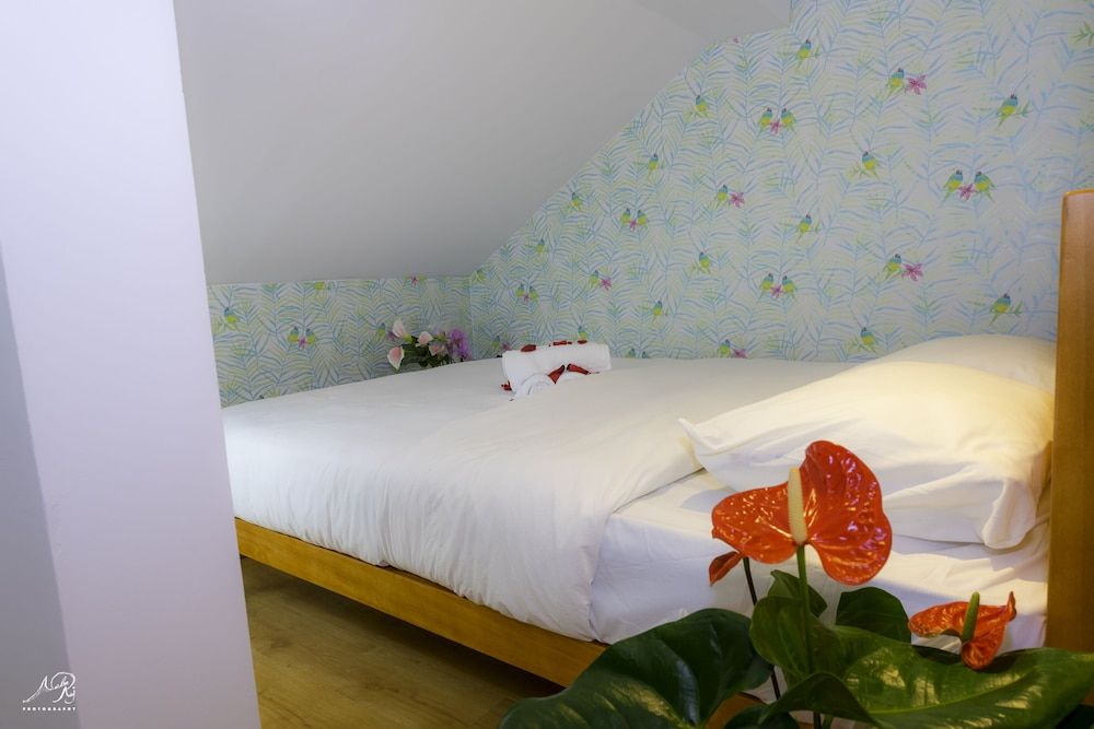 Basic Room, Shared Bathroom (102)