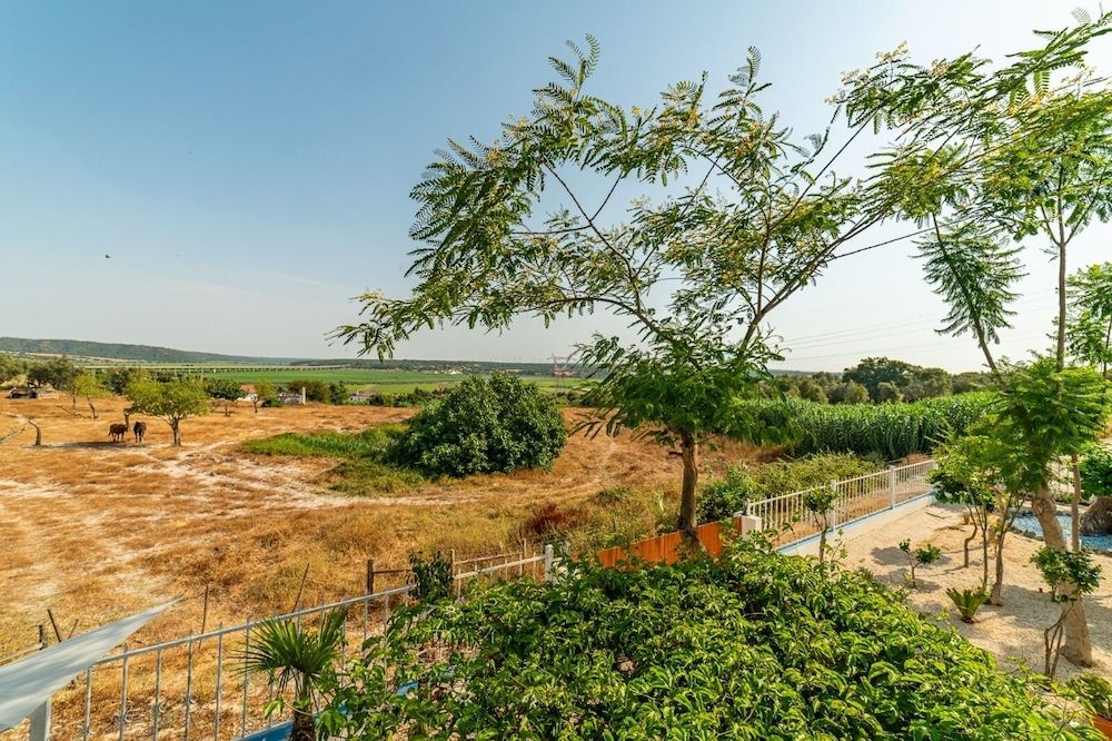 4Ever Palace Design & Nature Cama em dormitório misto com 8 camas 5