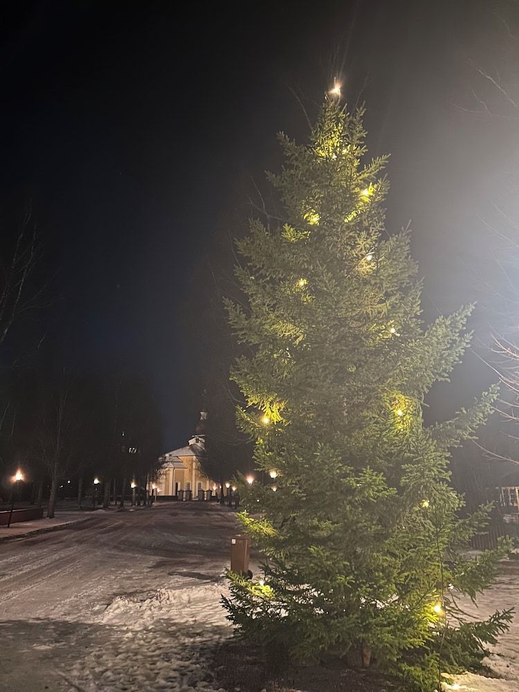 Outdoor Wedding Area