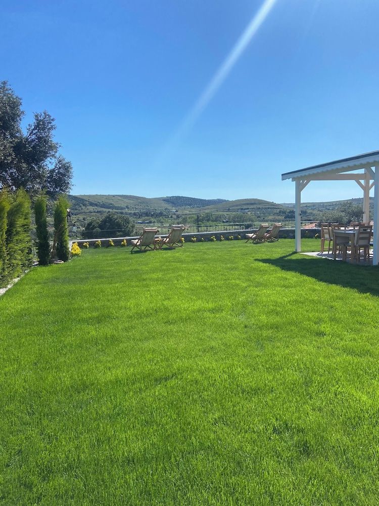 Vinea Bozcaada Superior Room, Pets Allowed, Vineyard View 20