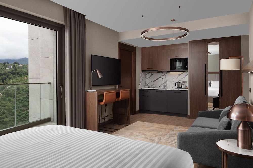 Studio, 1 King Bed, City View