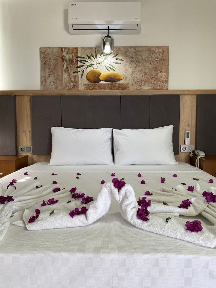 Aristo2 Butik Otel Economy Double Room 2