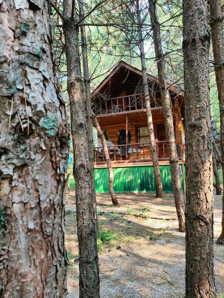 ÇAMPINARI DOĞA EVLERİ & RESTAURANT Family Bungalow 5