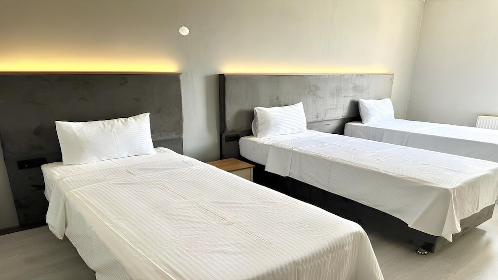 Altınova Hotel Sakarya Standard Triple Room, City View 10