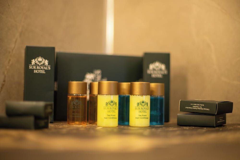 Sur Royals Hotel's Deluxe Room 8