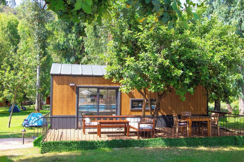 Standard Tree House
