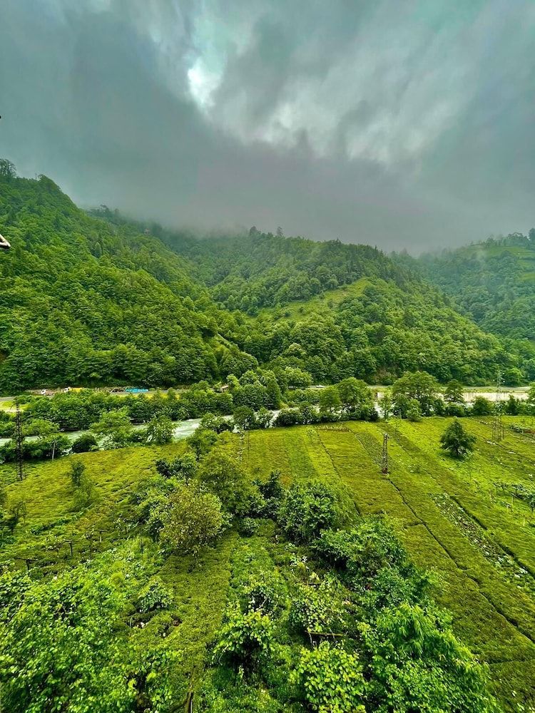 EL'A APART HOTEL Family Apartment, Balcony, Valley View 12