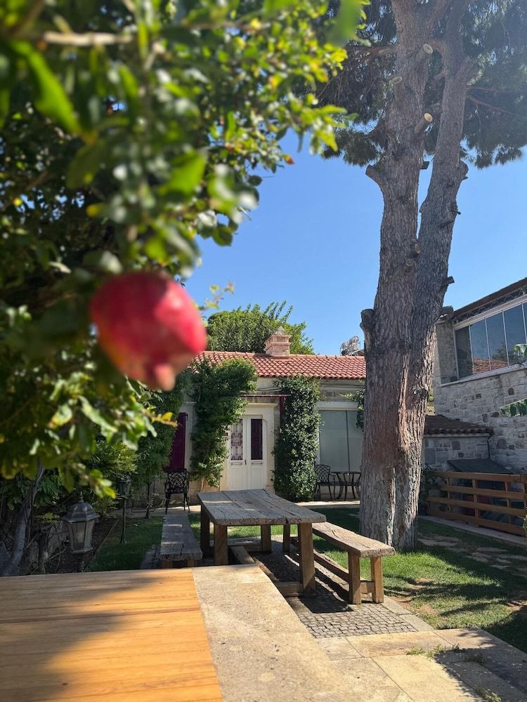 Mi Amor Phokaia Konuk Evi Standard Apartment, 1 Bedroom, Kitchenette, Garden View 4