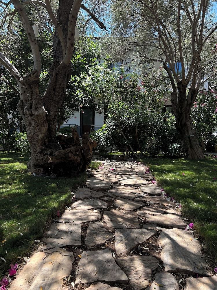 Elia Selimiye Classic Room 7