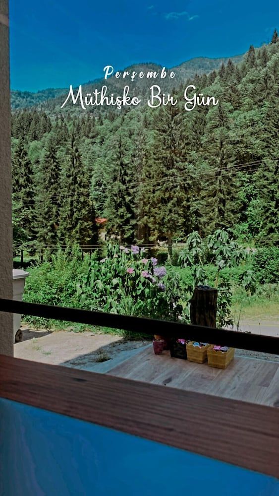 Nanu's Ayder Bungalow ve Kahvaltı Luxury Bungalow 11