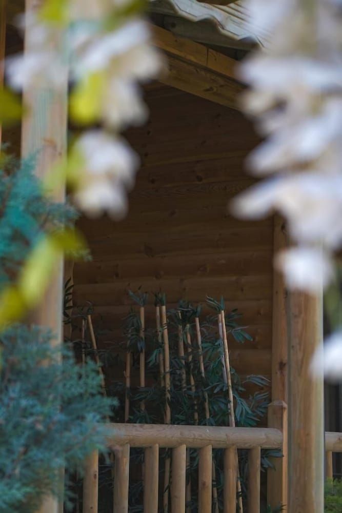 Abant Pelit Standard Room 7