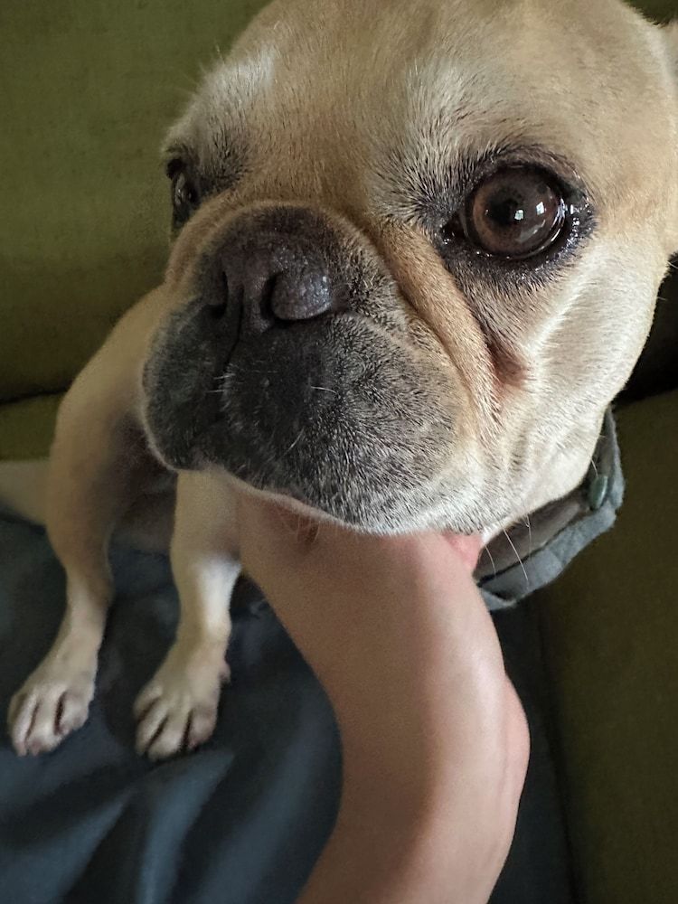 Little girl's home Basic Villa, Patio, Mountain View 4