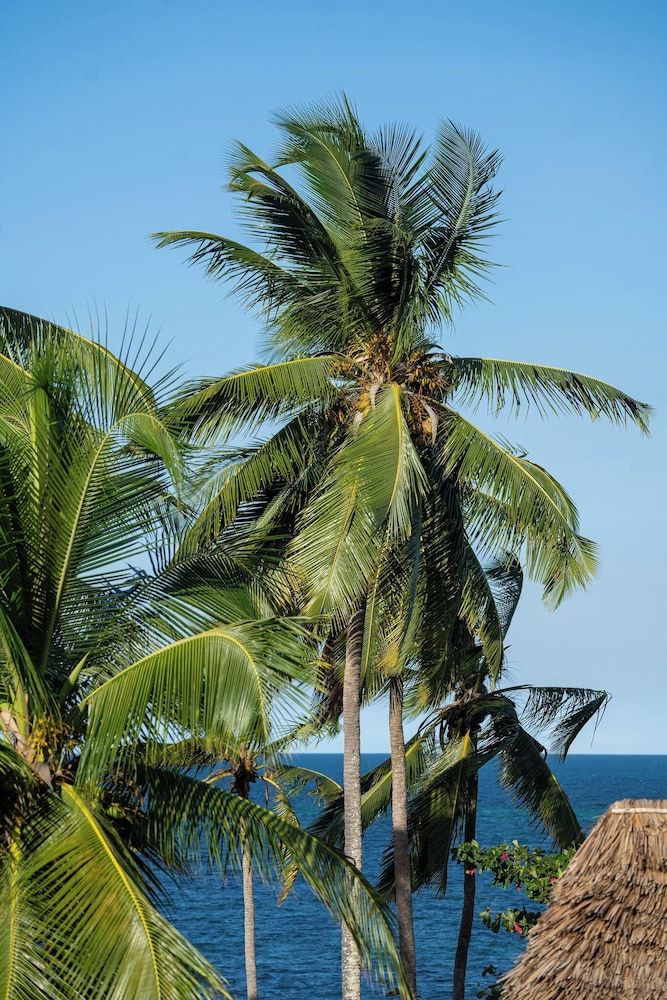 MANOLO Beach Resort Panoramic Double or Twin Room 5