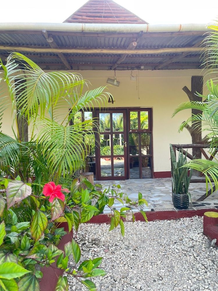 zanzllywood hotel and apartments Exclusive Double Room, 1 Bedroom, Garden View 26