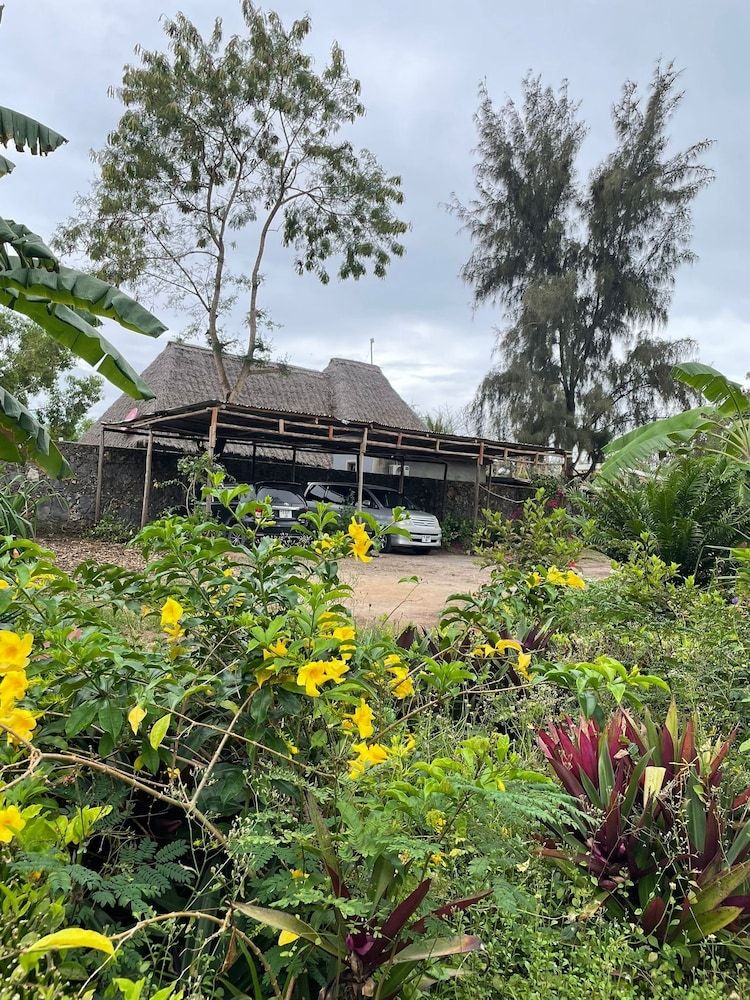 zanzllywood hotel and apartments Comfort Apartment, Garden View 25