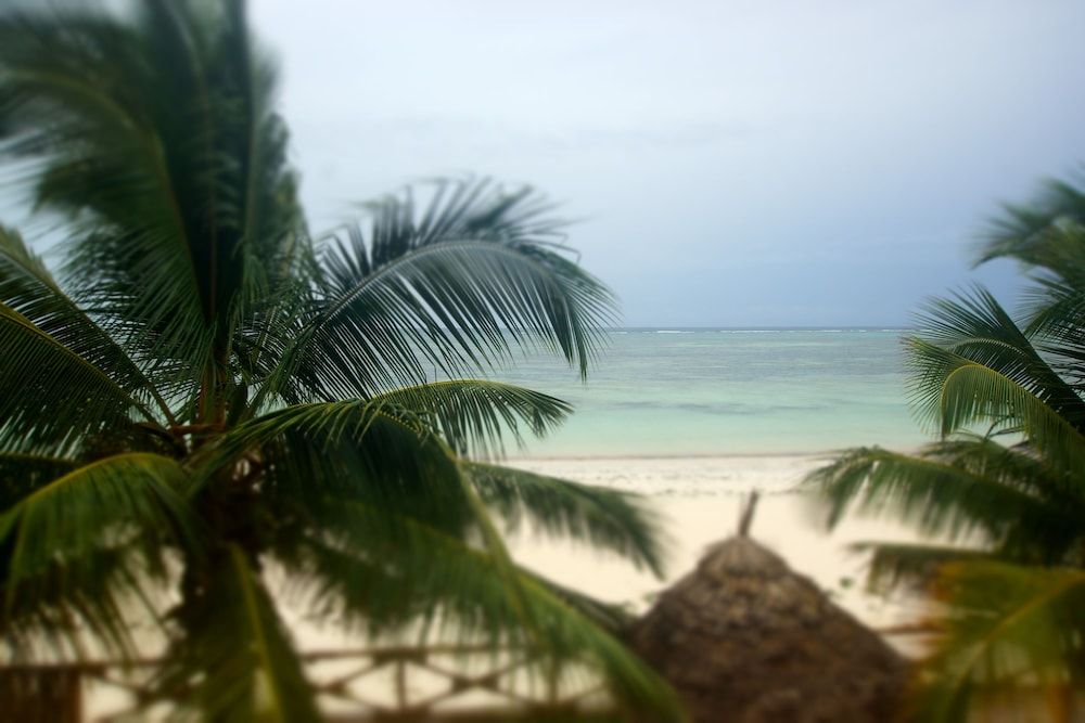 AMANI BEACH VILLA Traditional Villa 5