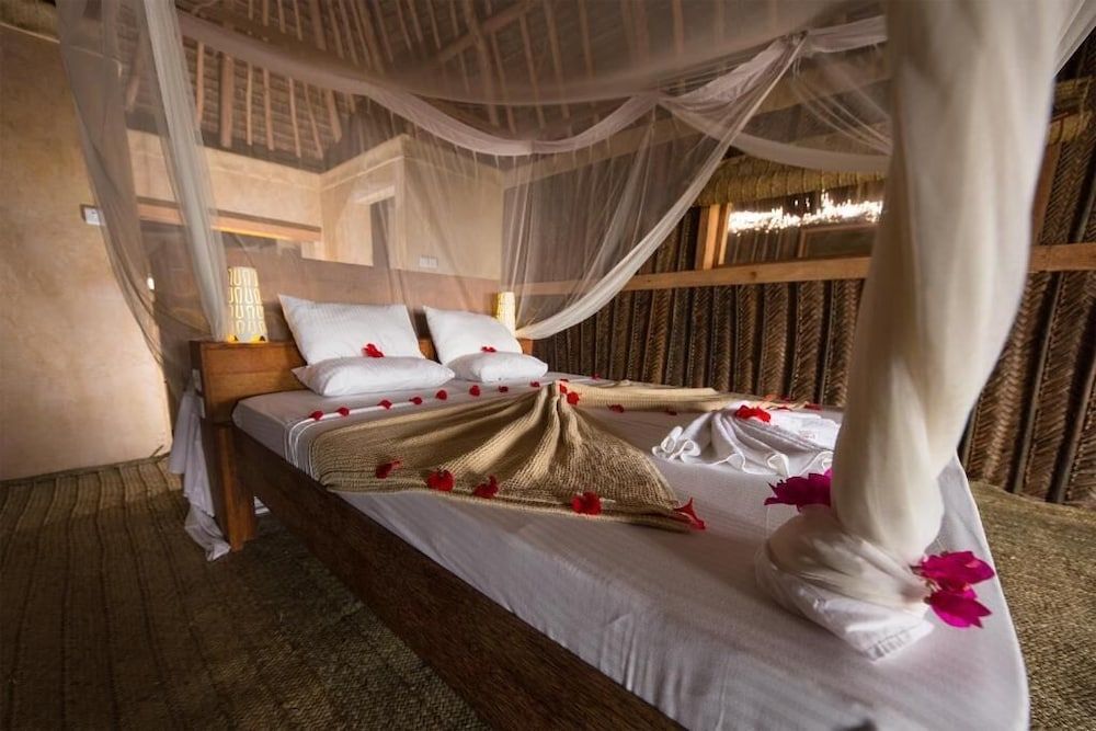 Room, 1 King Bed, Beachfront (40 m2)