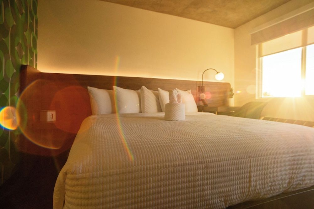 The Alice Hotel Premium Suite, 1 King Bed 3