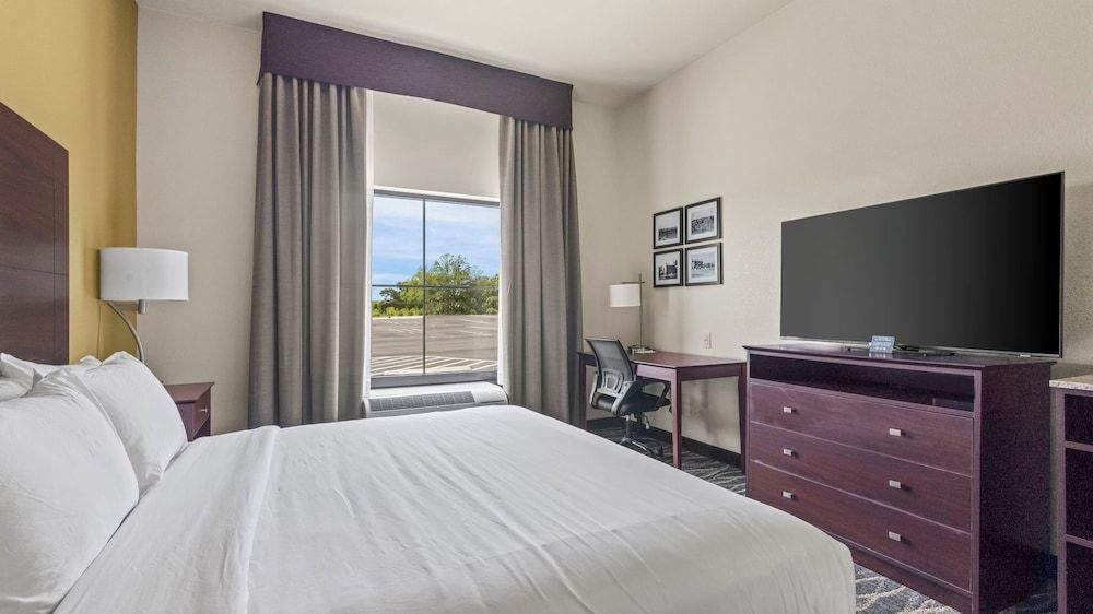 Room, 1 King Bed, Mobility Accessible, Non Smoking (Single King Accessible Guestroom)