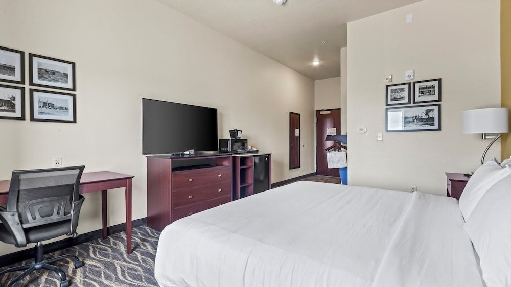 Room, 1 King Bed, Mobility Accessible, Non Smoking (Single King Accessible Guestroom)