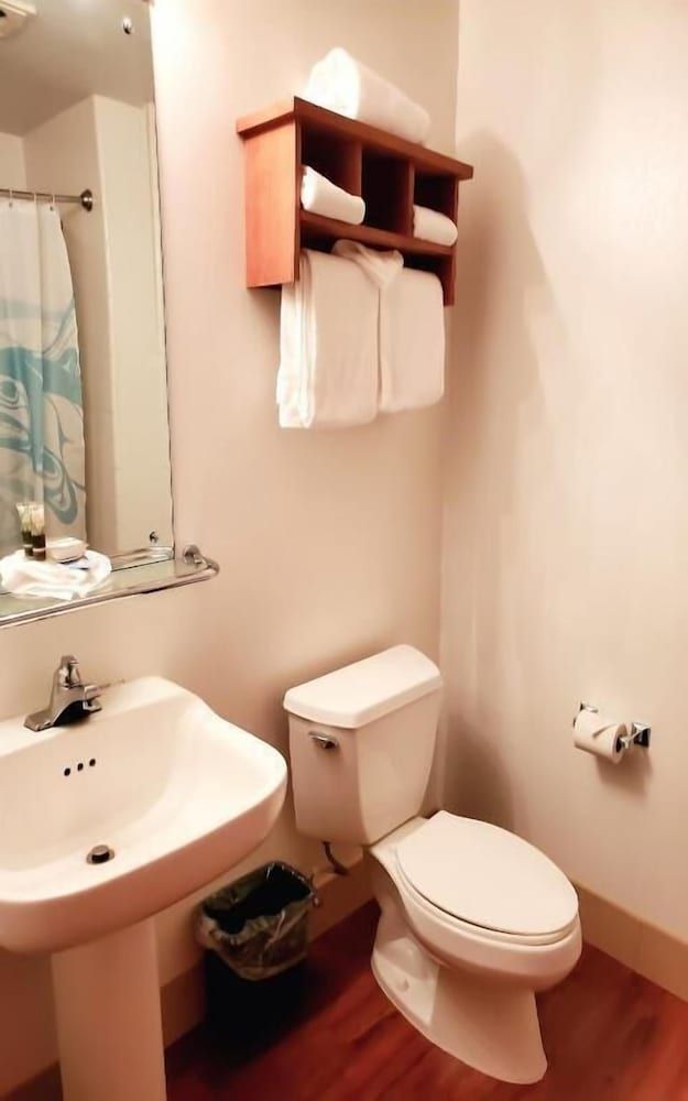 Cape Fox Lodge Terrace Room 1 King Bed 4