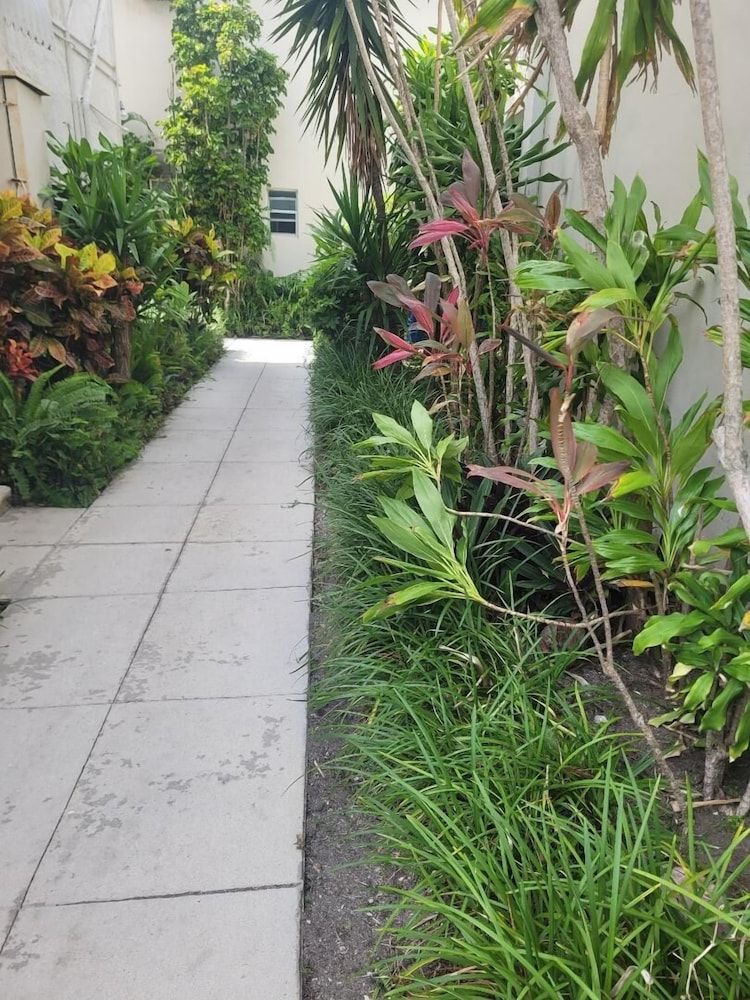 Queens Lodge Motel Classic Studio Suite 3