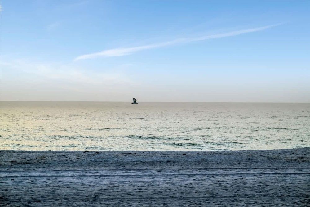 Stones Throw Beachfront Premier Suite 4 Views Apartment 9