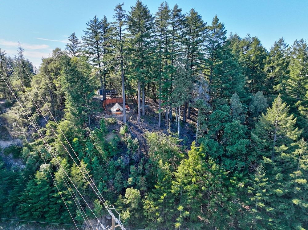 Mays Luxury Farm Stays Yurt Above it All - Glamp on-site 31