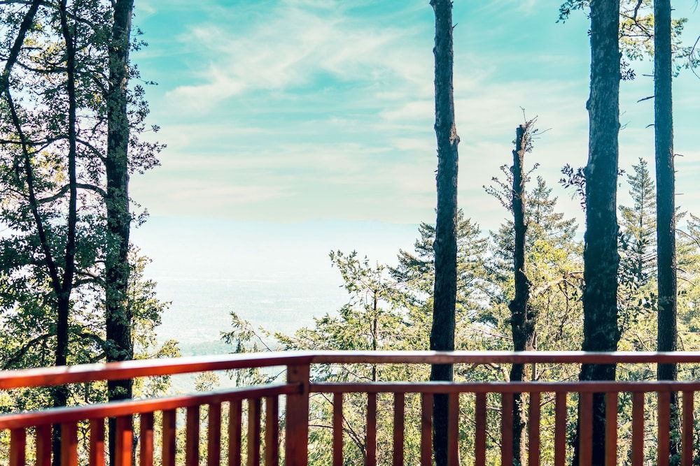 Mays Luxury Farm Stays Yurt On Top - Swim, Hike, Glamp 28