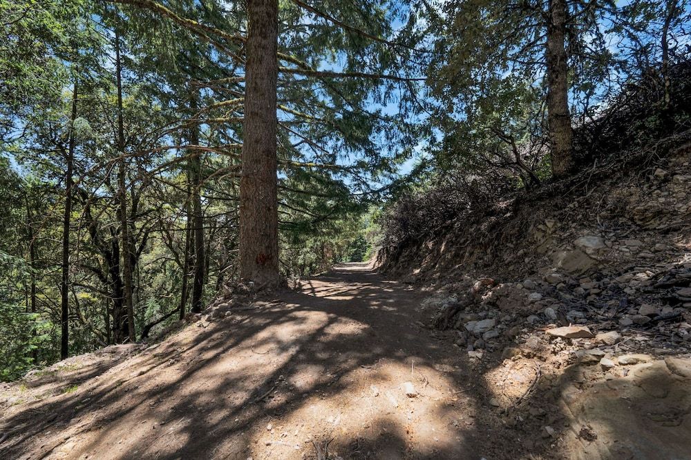 Mays Luxury Farm Stays Mays Luxury Sunset Cabin with Loft 30