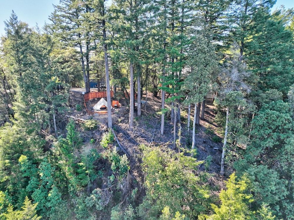 Mays Luxury Farm Stays Yurt Above it All - Glamp on-site 35