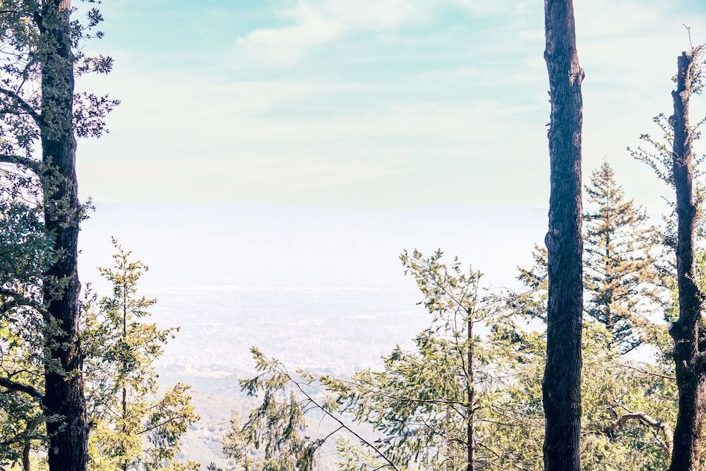 Mays Luxury Farm Stays Yurt On Top - Swim, Hike, Glamp 37