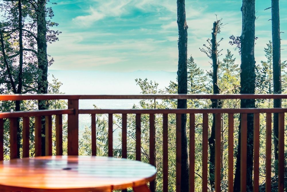 Mays Luxury Farm Stays Yurt On Top - Swim, Hike, Glamp 36