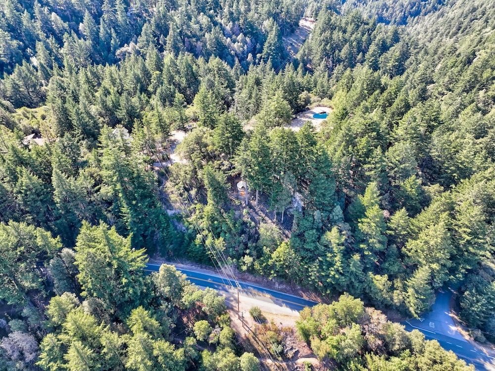 Mays Luxury Farm Stays Yurt Above it All - Glamp on-site 37