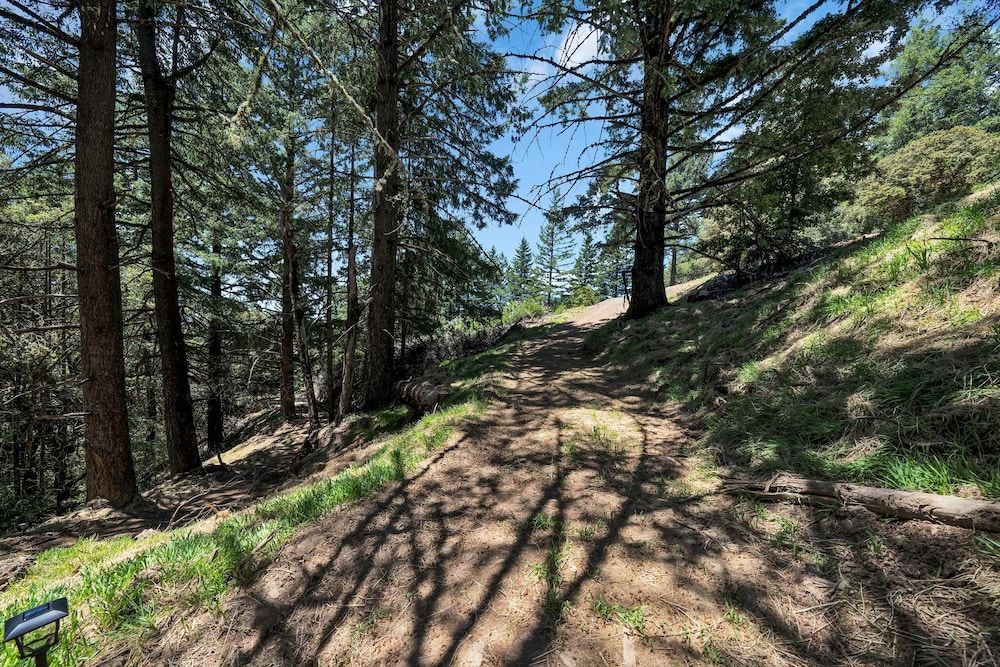 Mays Luxury Farm Stays Mays Luxury Sunset Cabin with Loft 16