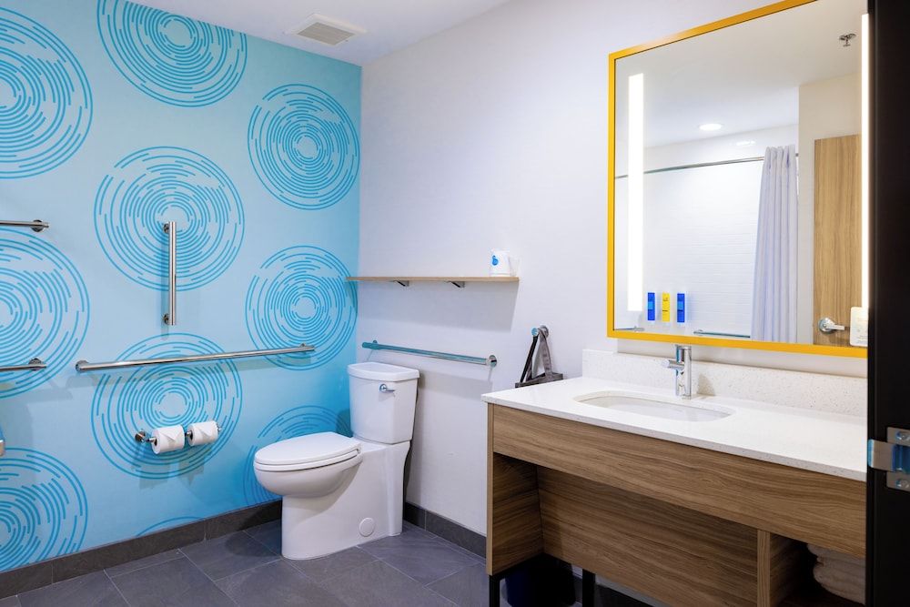 Tru By Hilton Kalamazoo Room, 1 King Bed, Accessible, Bathtub 3