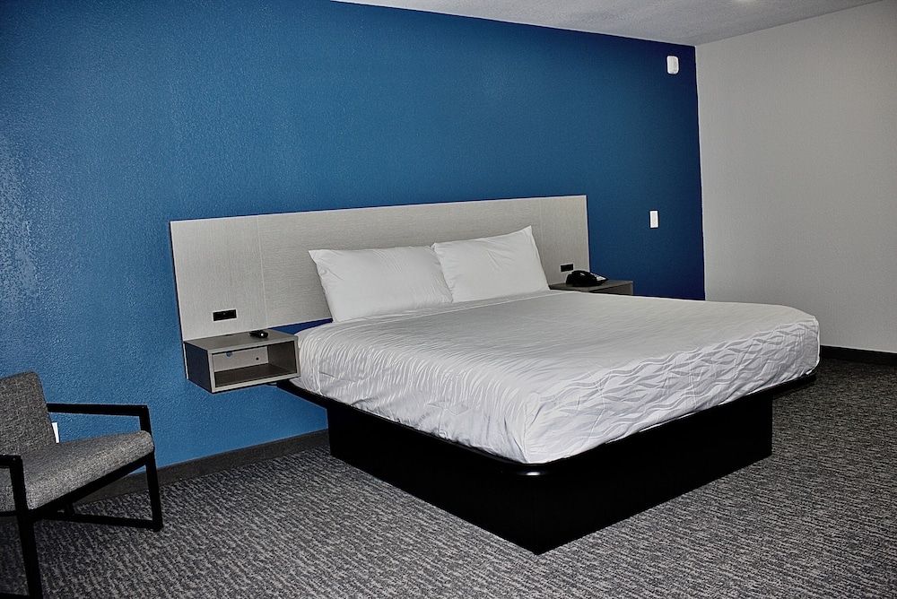 Single Room, 1 King Bed