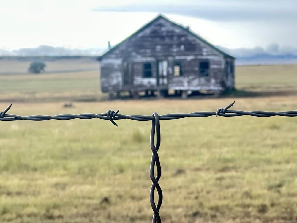 Franklin Fab Gallery House House 25