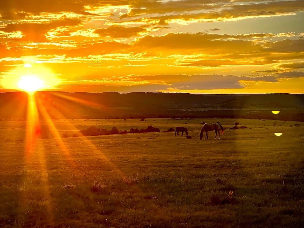 Franklin Fab Gallery House House 27